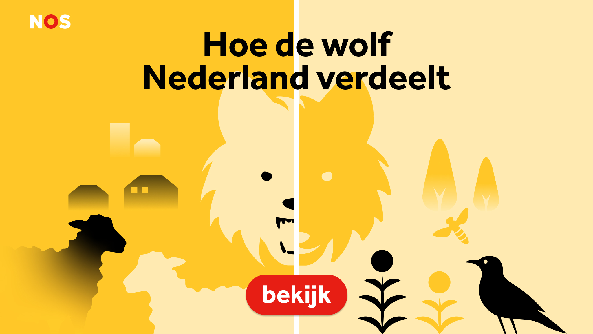 Hoe de wolf Nederland verdeelt